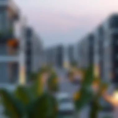 Residential Developments in Dubai Investment Park Modern residential community within Dubai Investment Park