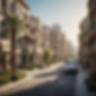Residential Developments in Dubai's Thriving Communities Modern residential buildings in a vibrant neighborhood of Dubai